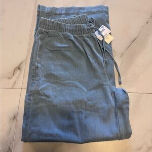 American Eagle Outfitters Slate Blue Joggers
